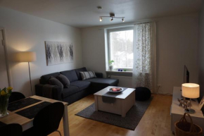 Отель Ounasvaara Arctic Suite  Рованиеми